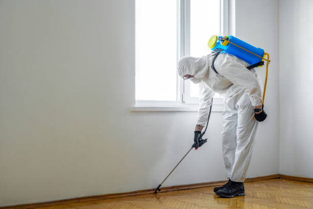 Pest Prevention Services in Poteet, TX