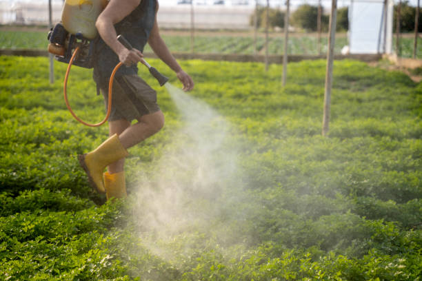 Professional Pest Control in Poteet, TX