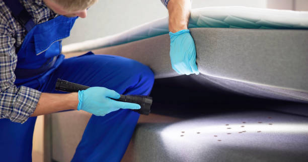 Best Rat Extermination Near Me  in Poteet, TX