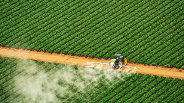 Best Insect Control  in Poteet, TX