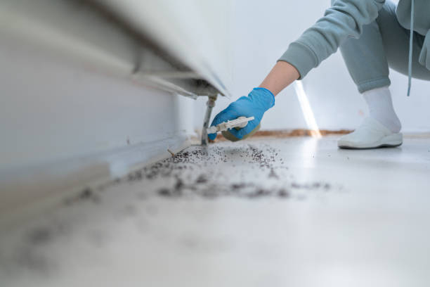 Pest Control Cost in Poteet, TX