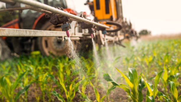 Best Pest Prevention Services  in Poteet, TX
